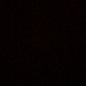 Meet your Posher, Annika